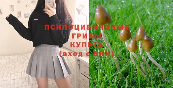 прущий лед Чекалин