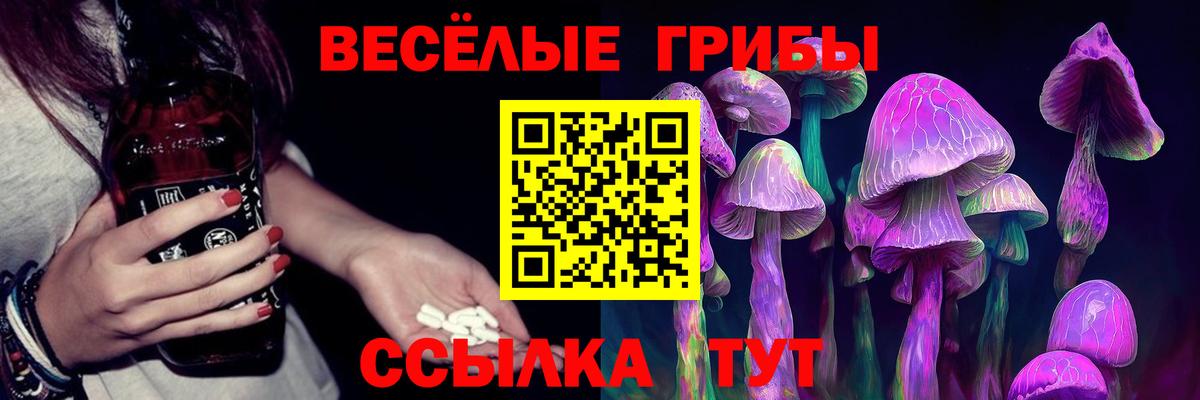наркотики  Вход с VPN  Губаха  Галлюциногенные грибы GOLDEN TEACHER 