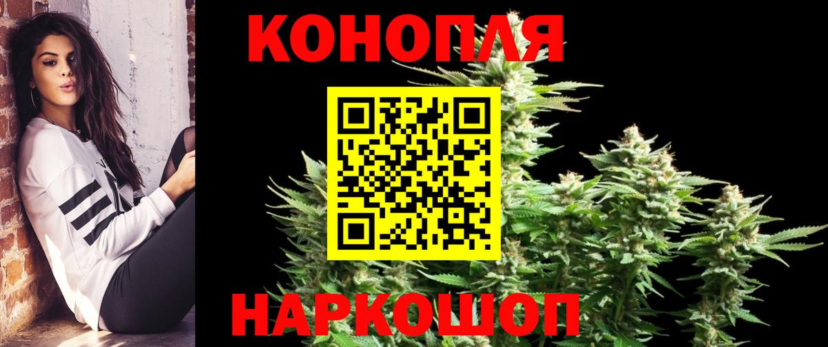 МАРИХУАНА план  Канабис OG Kush  Марихуана гибрид  Губаха 